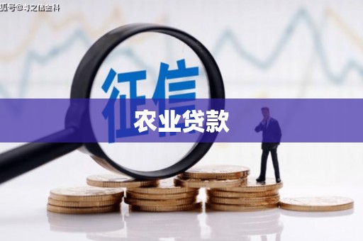 海伦农业贷款