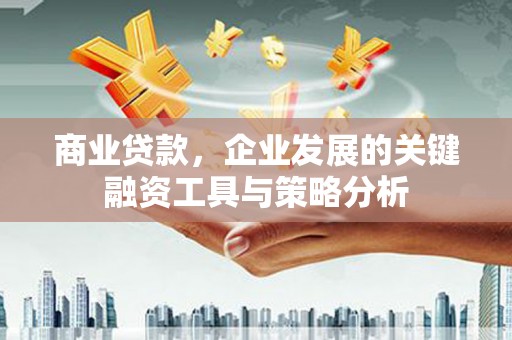 海伦商业贷款，企业发展的关键融资工具与策略分析