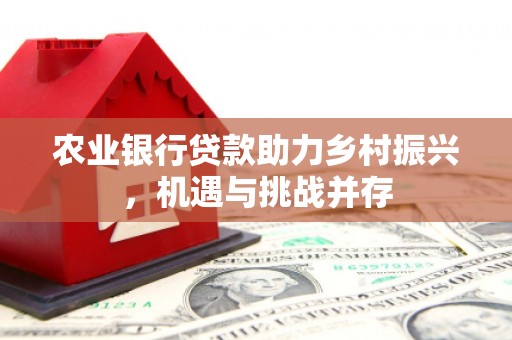 海伦农业银行贷款助力乡村振兴，机遇与挑战并存