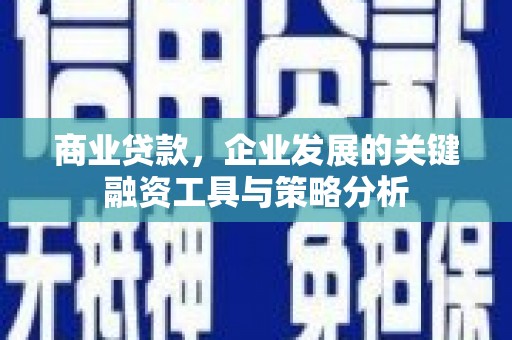 海伦商业贷款，企业发展的关键融资工具与策略分析