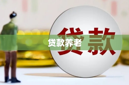 海伦贷款养老