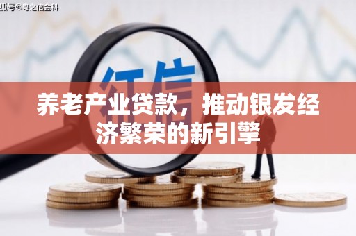 海伦养老产业贷款，推动银发经济繁荣的新引擎