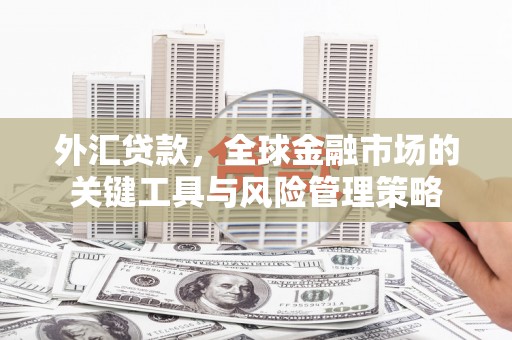 海伦外汇贷款，全球金融市场的关键工具与风险管理策略