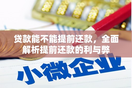 海伦贷款能不能提前还款，全面解析提前还款的利与弊