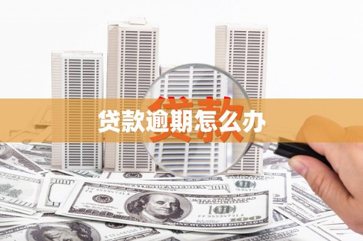 海伦贷款逾期怎么办