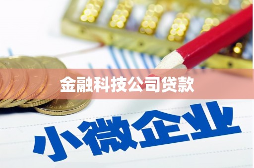 海伦金融科技公司贷款