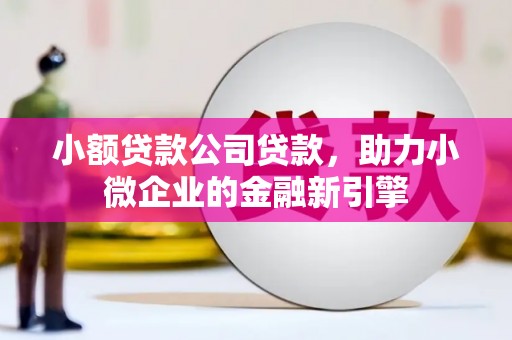 海伦小额贷款公司贷款，助力小微企业的金融新引擎