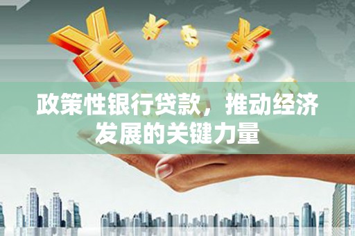 海伦政策性银行贷款，推动经济发展的关键力量