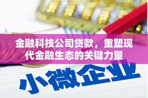 海伦金融科技公司贷款，重塑现代金融生态的关键力量