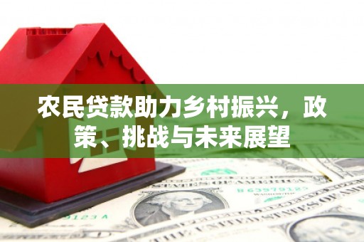 海伦农民贷款助力乡村振兴，政策、挑战与未来展望