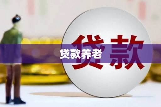 海伦贷款养老