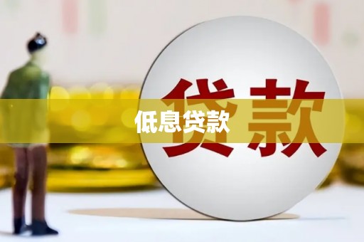 海伦低息贷款