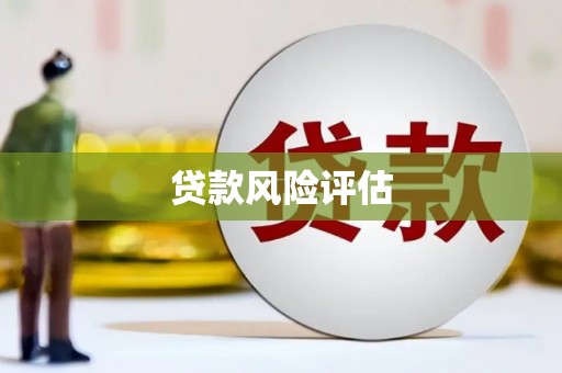 海伦贷款风险评估