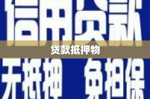 海伦贷款抵押物