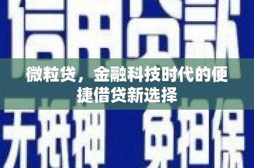 海伦微粒贷，金融科技时代的便捷借贷新选择