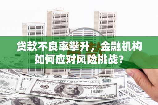 海伦贷款不良率攀升，金融机构如何应对风险挑战？