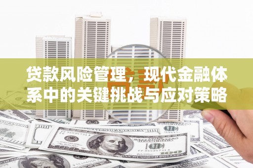 海伦贷款风险管理，现代金融体系中的关键挑战与应对策略