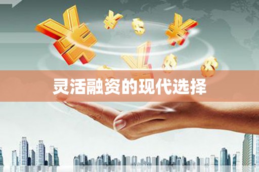 海伦灵活融资的现代选择