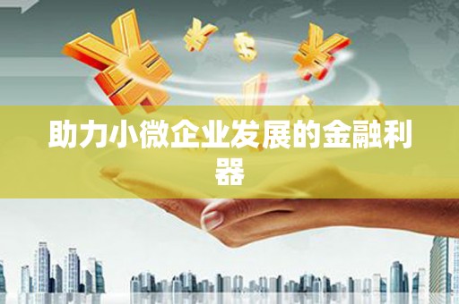 海伦助力小微企业发展的金融利器