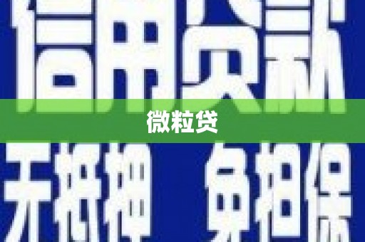 海伦微粒贷