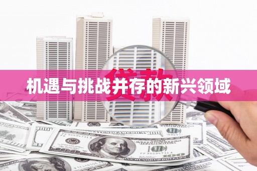 海伦机遇与挑战并存的新兴领域