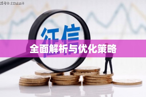 海伦全面解析与优化策略