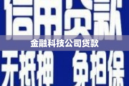 海伦金融科技公司贷款