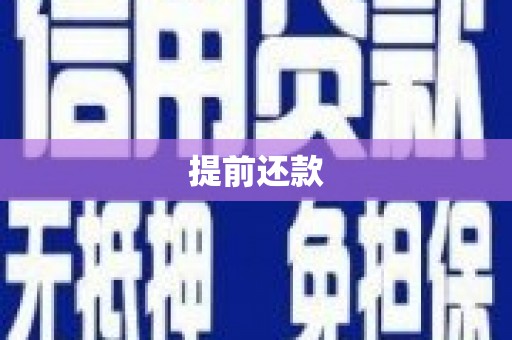 海伦提前还款