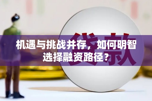 海伦机遇与挑战并存，如何明智选择融资路径？