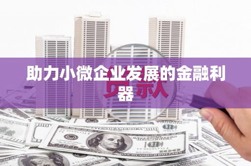 海伦助力小微企业发展的金融利器