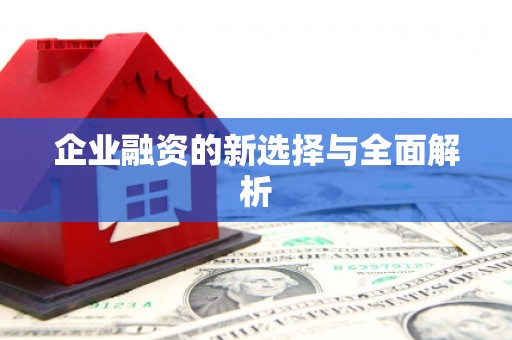 海伦企业融资的新选择与全面解析