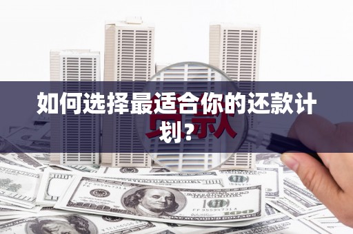 海伦如何选择最适合你的还款计划？
