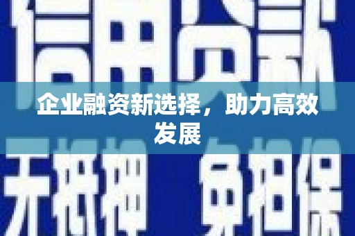 海伦企业融资新选择，助力高效发展