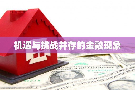海伦机遇与挑战并存的金融现象