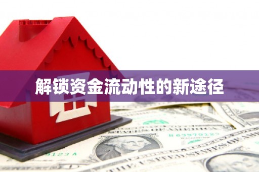 海伦解锁资金流动性的新途径