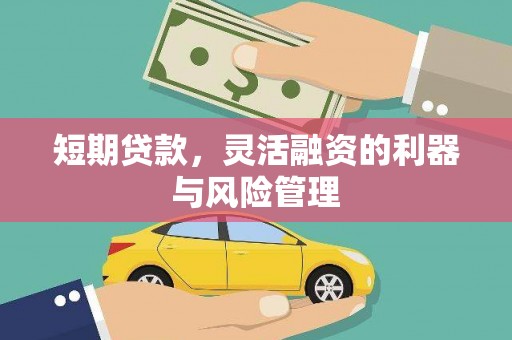 海伦短期贷款，灵活融资的利器与风险管理