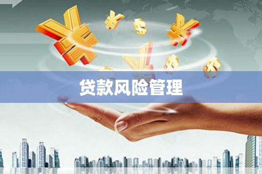 海伦贷款风险管理