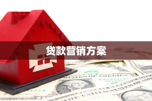 海伦贷款营销方案